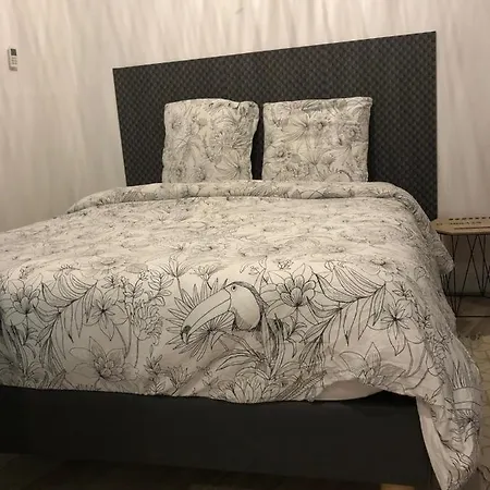Alloappartmeuble_le Cosy *